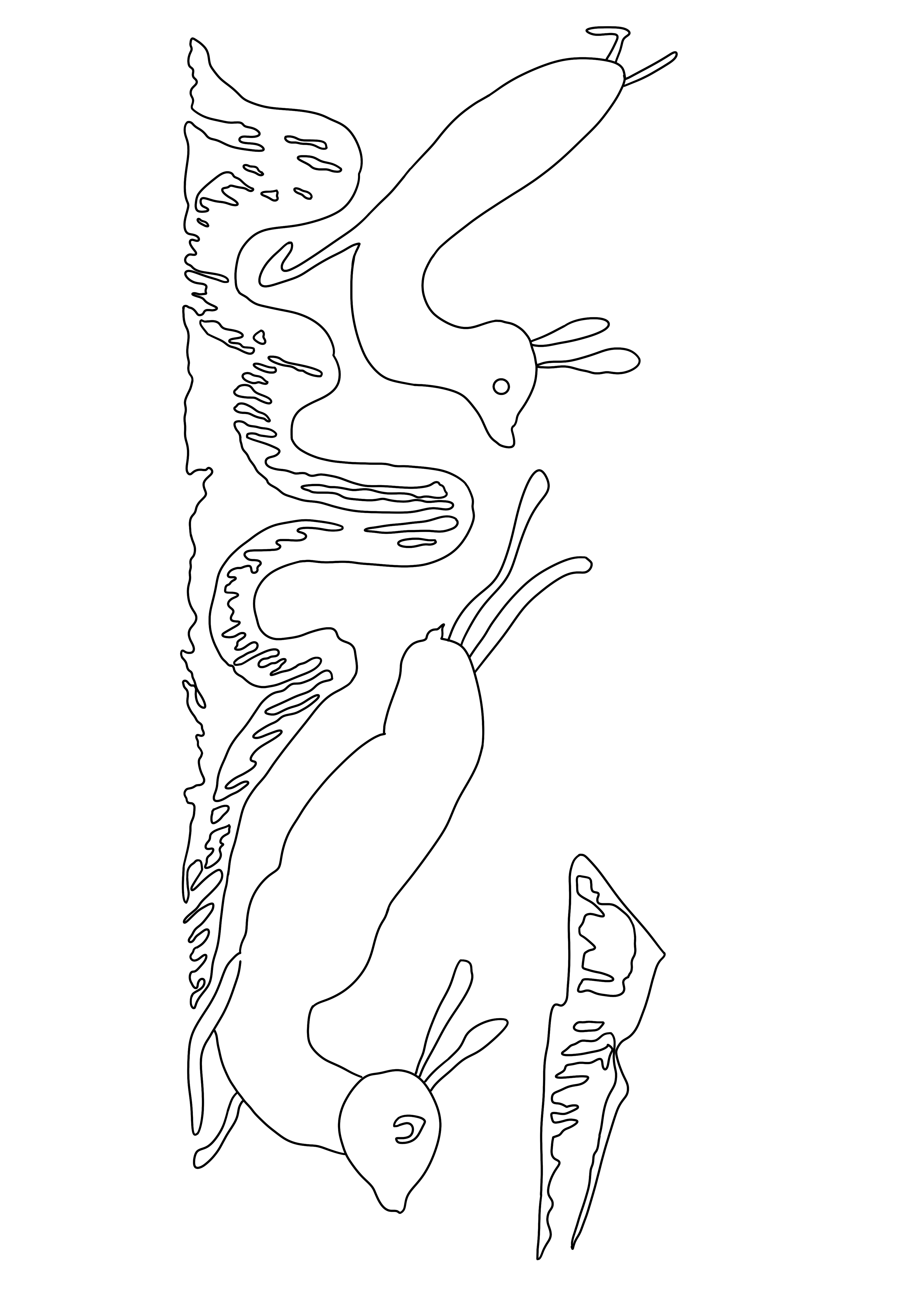 山中奔兔